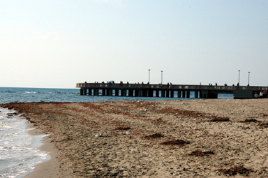 b8043g.jpg