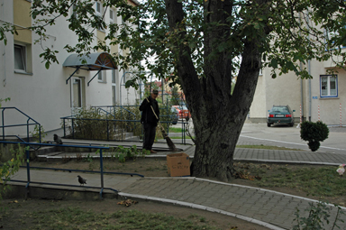 b8403.jpg