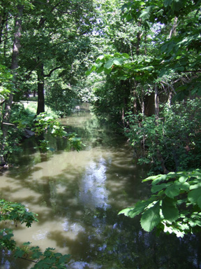 bild276.jpg