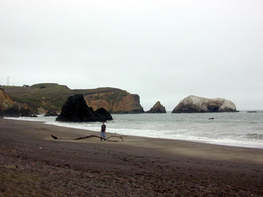 b0620.jpg