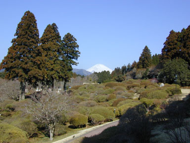 b209.jpg