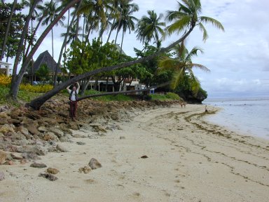 b233.jpg