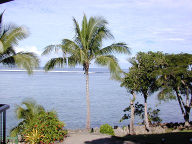 b235.jpg