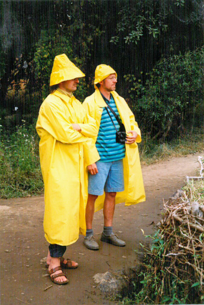 regenw.jpg